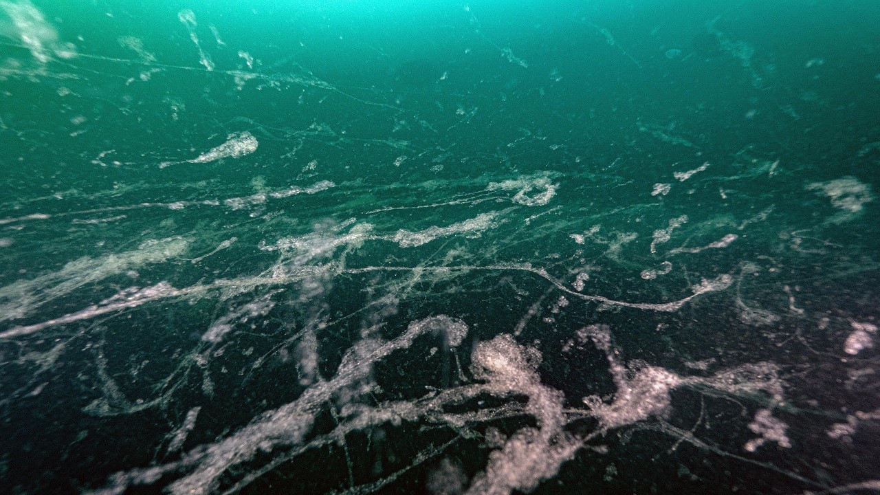 Aman dikkat! Tehlike geri döndü