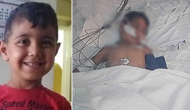 Amasya'da 2 haftadır yaşam savaşı veriyordu! Kahreden haber