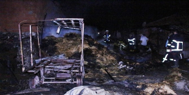 Amasya'da ahır yangını! Çok sayıda hayvan telef oldu