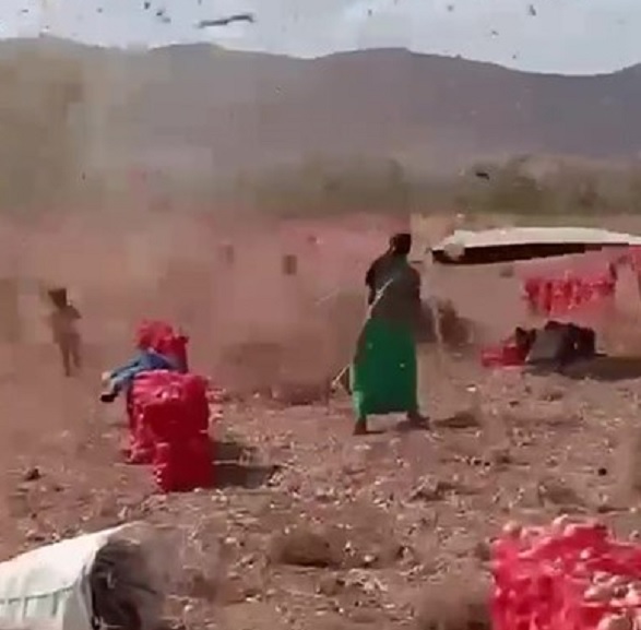 Amasya'da korku dolu anlar! Çocuklar hortumun arasında kaldı