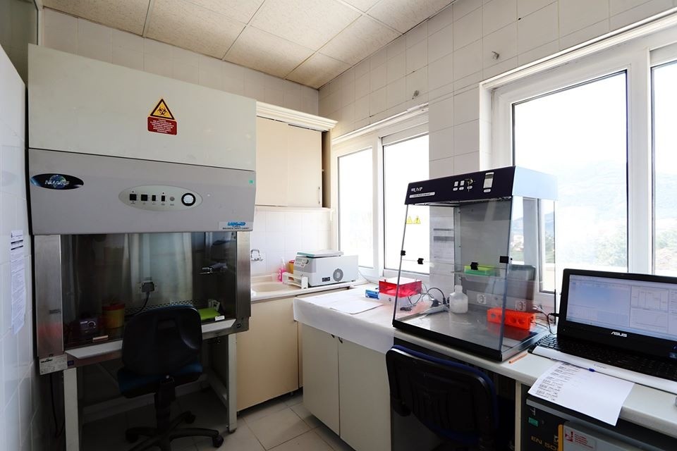 Amasya’da korona testleri yapılmaya başlandı 