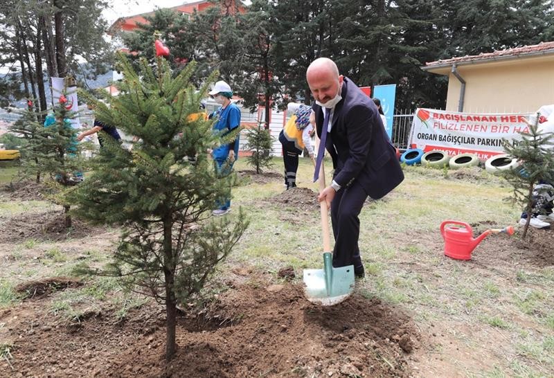 Amasya’da organ bağışçılarının isimlerinin yaşatılacağı parka fidanlar dikildi 