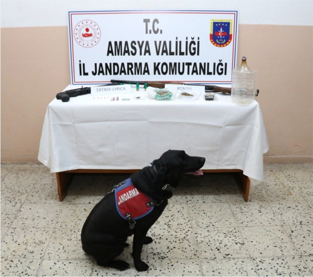 Amasya’da uyuşturucu ve uyarıcı madde ele geçirildi 