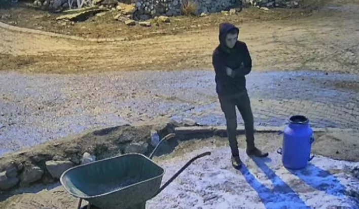 Amasya'da yürek burkan görüntü: Sütler döküldü, çaresizce bekledi