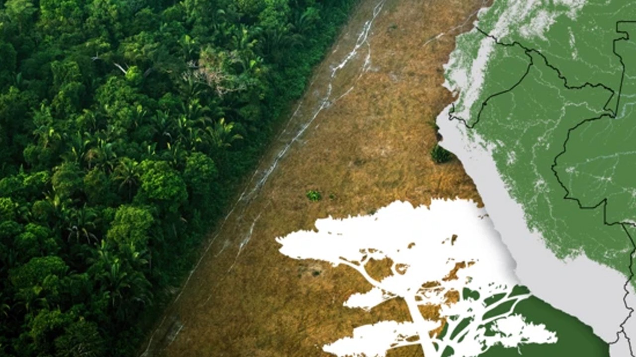 Amazon'da tehlike çanları çaldı, Karbon salımı tehlikesi her gün dünyayı tehdit ediyor