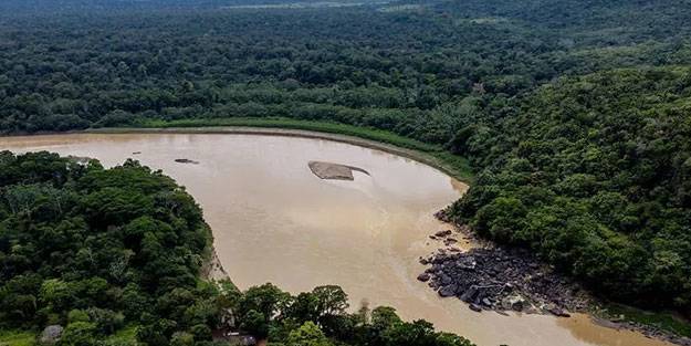 Amazonlar'da ağaç katliamı sürüyor