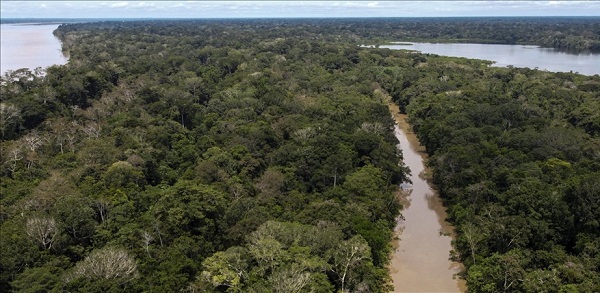 Amazonlardaki ormansızlaşma azaldı