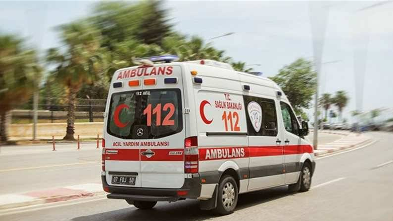 Ambulansa yol vermeyen hayvana para cezası uygulandı