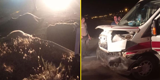 Ambulansını çarptığı koyunlar telef oldu