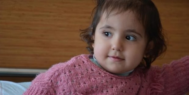 Ameliyat edilen çocuğun burnundan öyle bir şey çıktı ki...