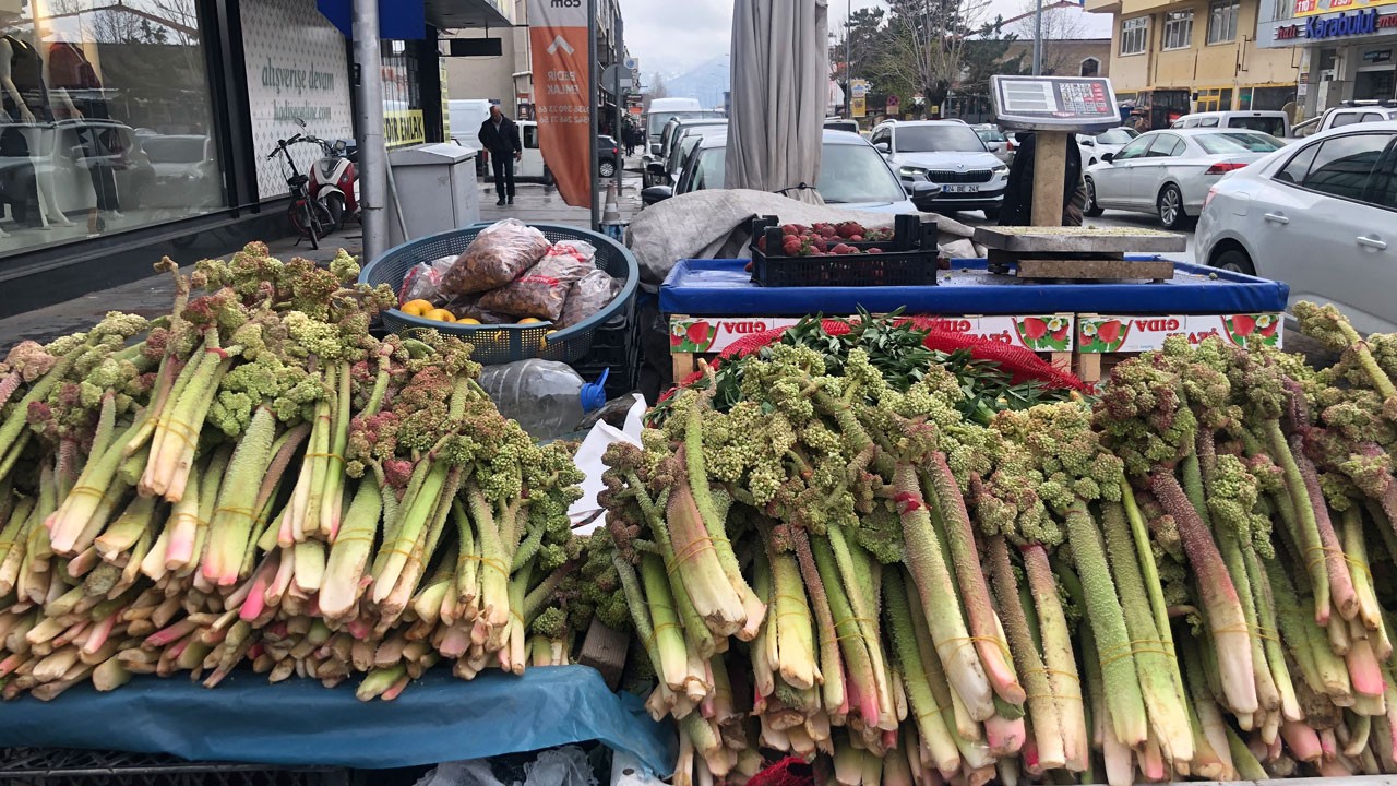 Amerika’dan talep var! Erzincan’ın mucize bitkisi yok satıyor