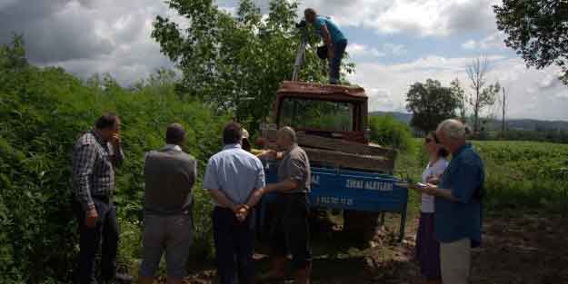 Amerikalılar peşine düştü! Türkiye'nin kenevir merkezi olacak