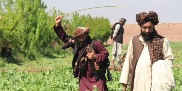 Amerikan istihbaratı milyarlar kazanmıştı: Taliban uyuşturucuyu bitirdi