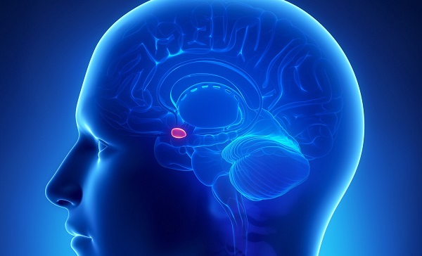 Amigdala nedir? Amigdala nelere yol açar?