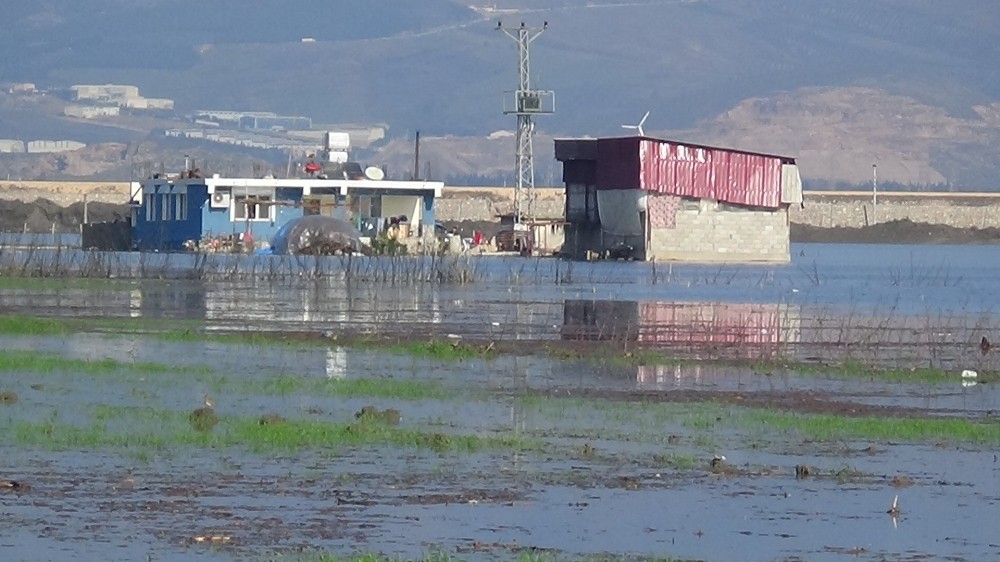 Amik Ovası’nda evler ve tarım arazileri sular altında kaldı 
