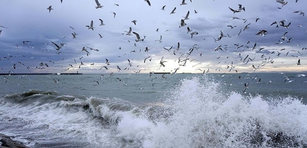 Marmara Denizi'nde ulaşıma lodos engeli