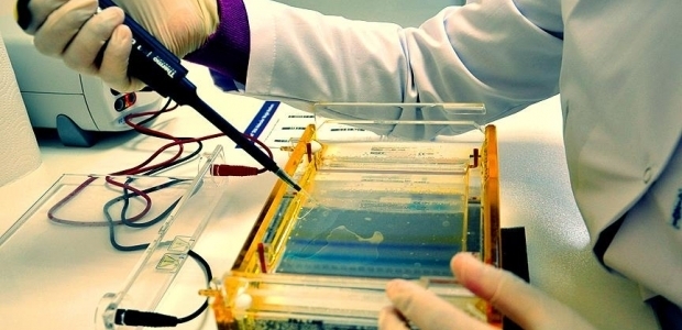 Gıda analizlerine devam