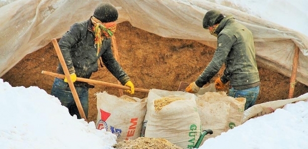 Besicilerin kış çilesi bitmiyor