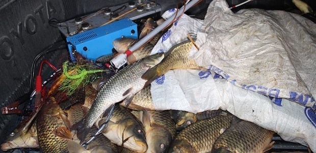 Elektroşok cihazıyla balık avına ceza yağdı