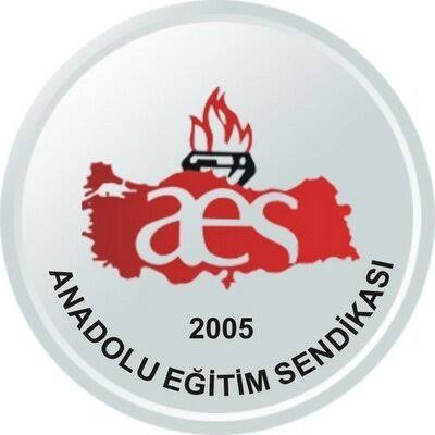 Anadolu Eğitim Sen Kırşehir Temsilciliği kuruldu 