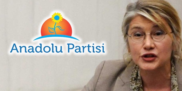 Anadolu Partisi'nin logosu Malibu'dan çalıntı çıktı