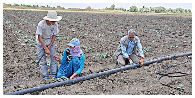 Anadolu tarımına ‘çözüm’ dopingi