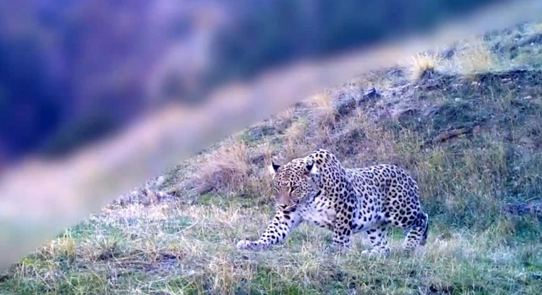 Anadolu topraklarında 1000 yıllık hikayenin vücut bulmuş hali