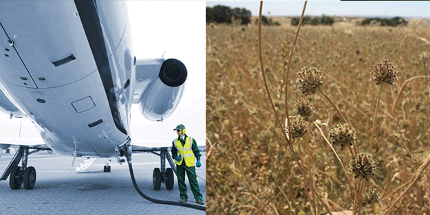 Anadolu topraklarından fışkırıyor! Türkiye bombayı patlattı... Jet yakıtı üretilecek