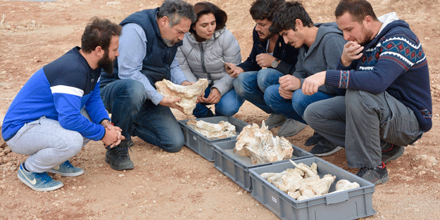 Anadolu’dan çıkarılıyor bilim adamları peşinden koşuyor