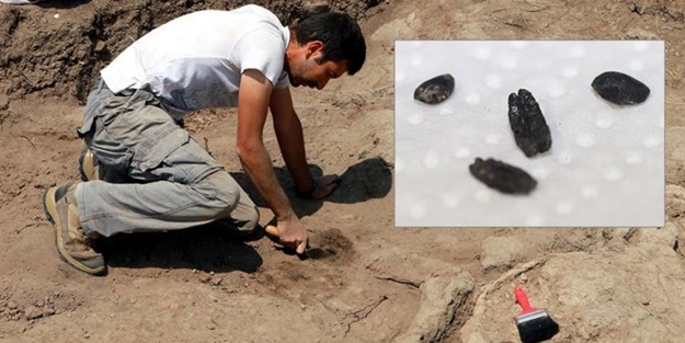 Anadolu'nun en eski tahılı bulundu