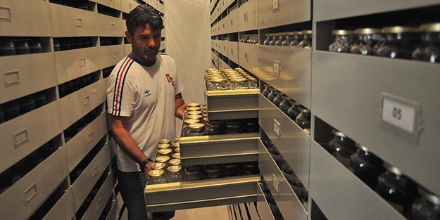 Anadolu'nun kalbi bu bankada yatıyor