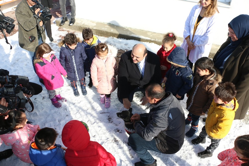 Anaokulunda ‘köpek krizi’nde mutlu son 