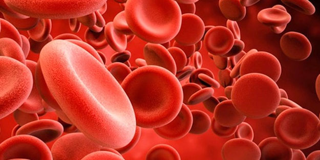 Anemi neden olur? Anemi belirtileri nelerdir?