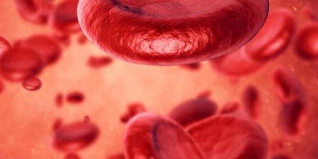 Aneminin 9 belirtisi