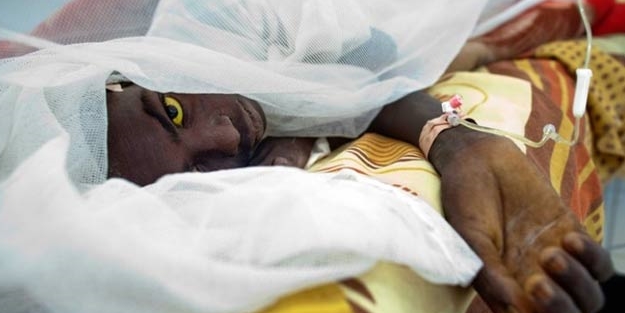 Virüs hızla yayılıyor: 178 ölü!