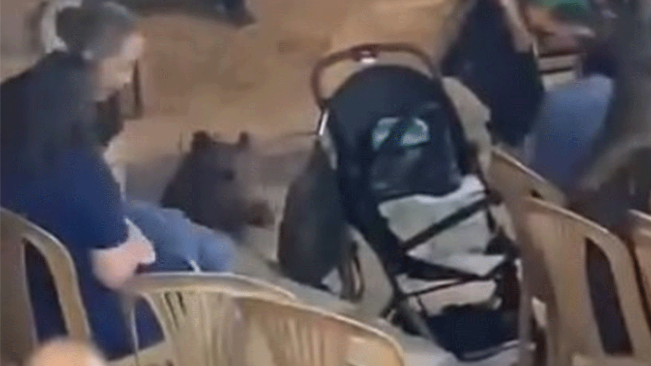 Aniden ortaya çıktı: Muğla'da düğünde büyük panik!