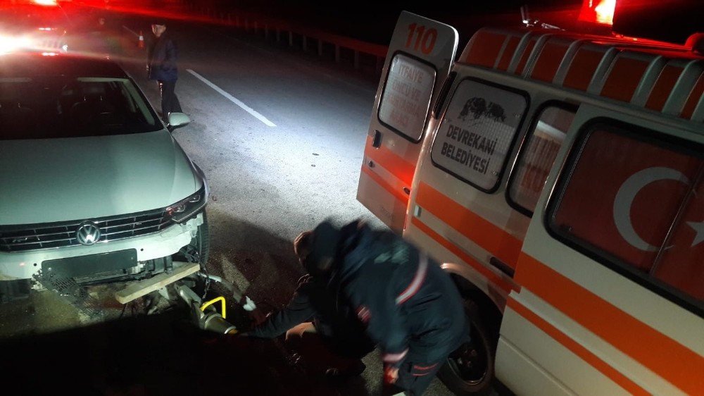 Aniden yola çıkan domuza otomobil çarptı 