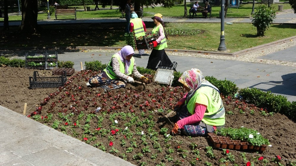 Anıt Park’taki çiçekler yenilendi 