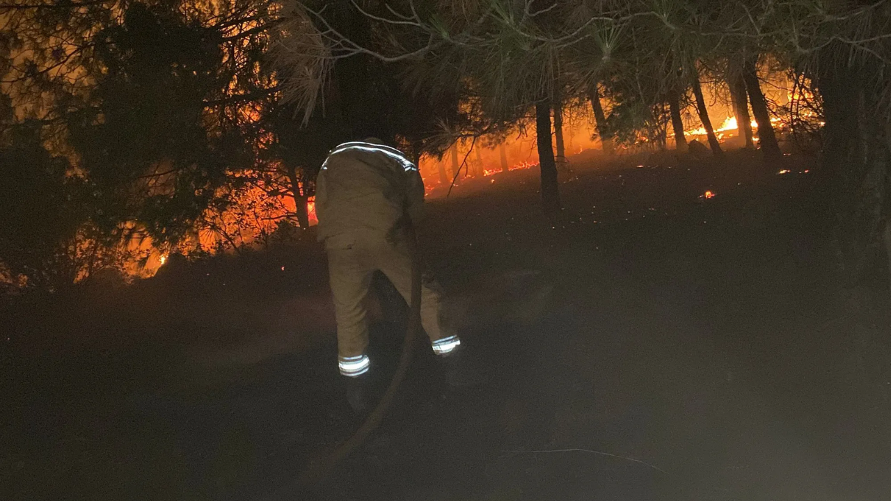 Anız yakarken, ormanı yaktılar!