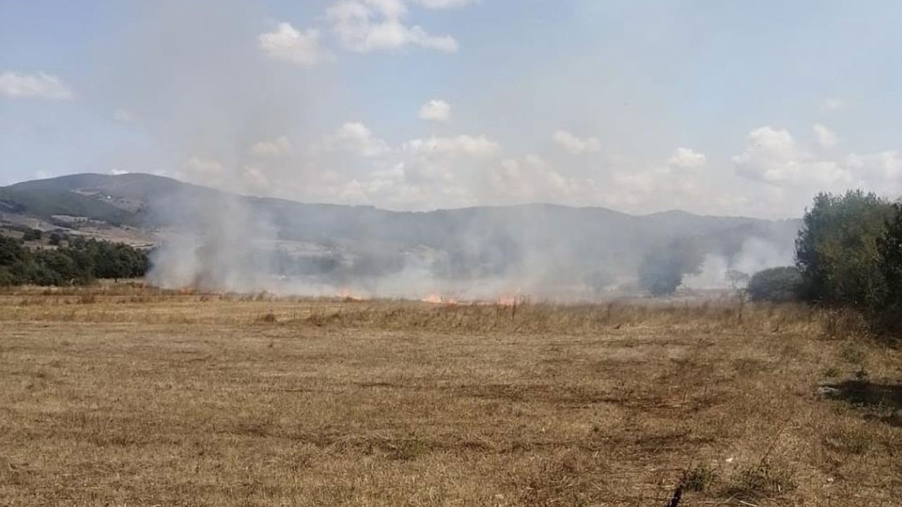 Anız yangını neyse ki ormana sıçramadı