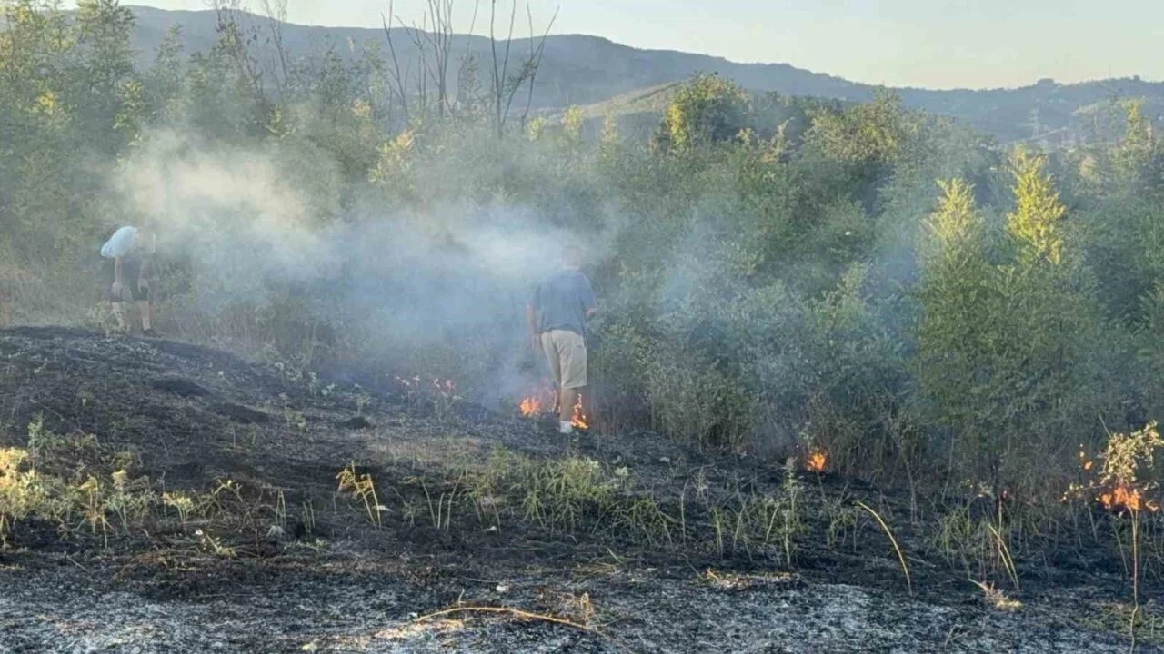 Anız yangını orman sıçradı: 10 dönüm küle döndü