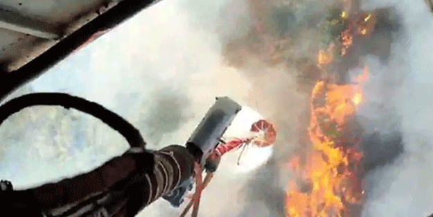 Anız yangını ormanlık alana sıçradı