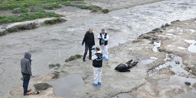 Ankara Çayı'nda erkek cesedi bulundu