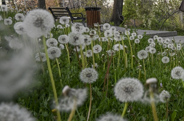 Ankara ilkbaharda başka güzel