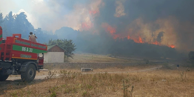 Ankara'da başlayan yangın Bolu'ya ulaştı