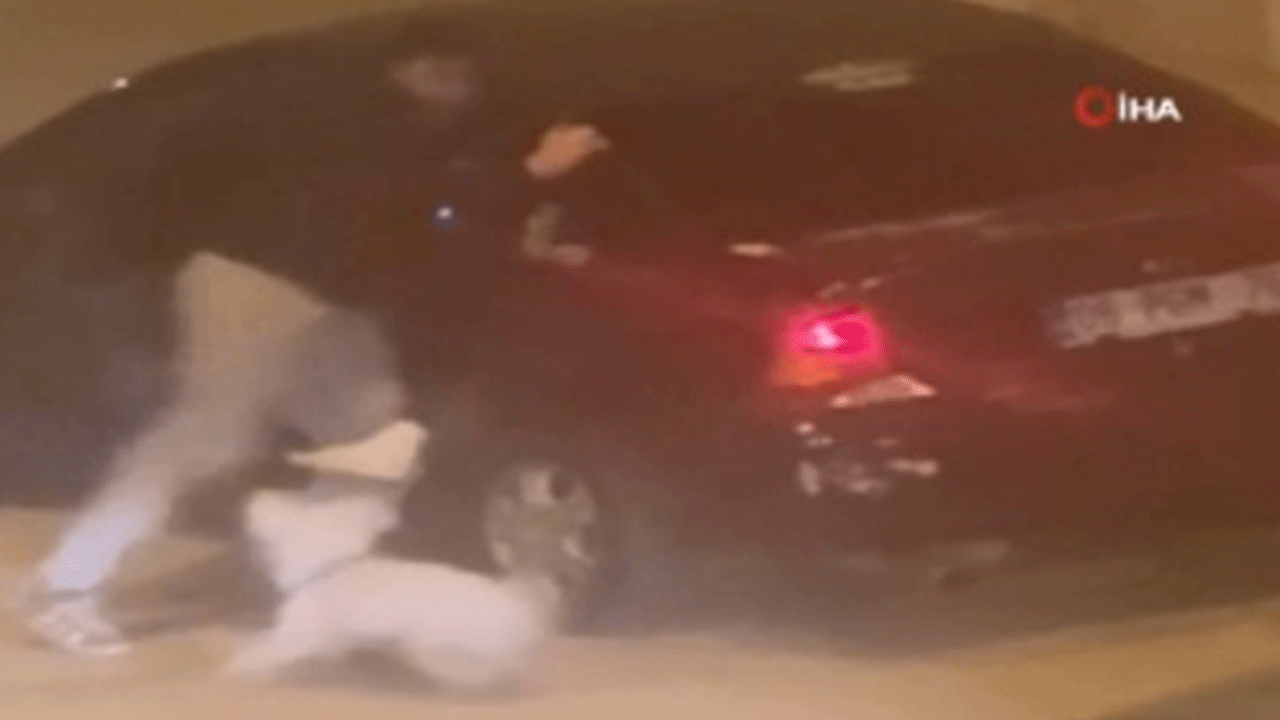 Ankara'da dehşet görüntüler: Genç kıza ve köpeğine saldırdı!