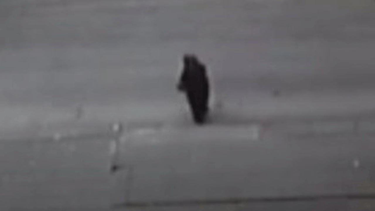 Ankara'da feci kaza: Yaşlı kadın ambulansı fark edemedi!