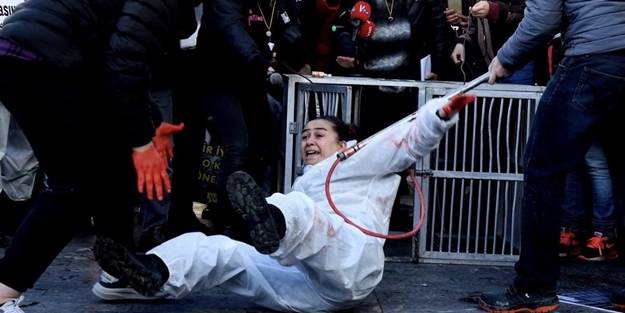 Ankara'da hayvanseverlerin 'köpekleri toplamayın' eylemi 'pes' dedirtti!