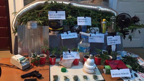 Ankara'da iç mimar evini uyuşturucu yetiştirmek için seraya çevirmiş