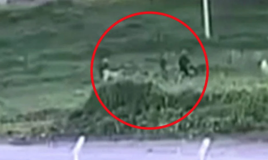 Ankara’da köpek kavgası dehşete dönüştü! Baba ve oğlundan komşuya demir çubuklu infaz girişimi